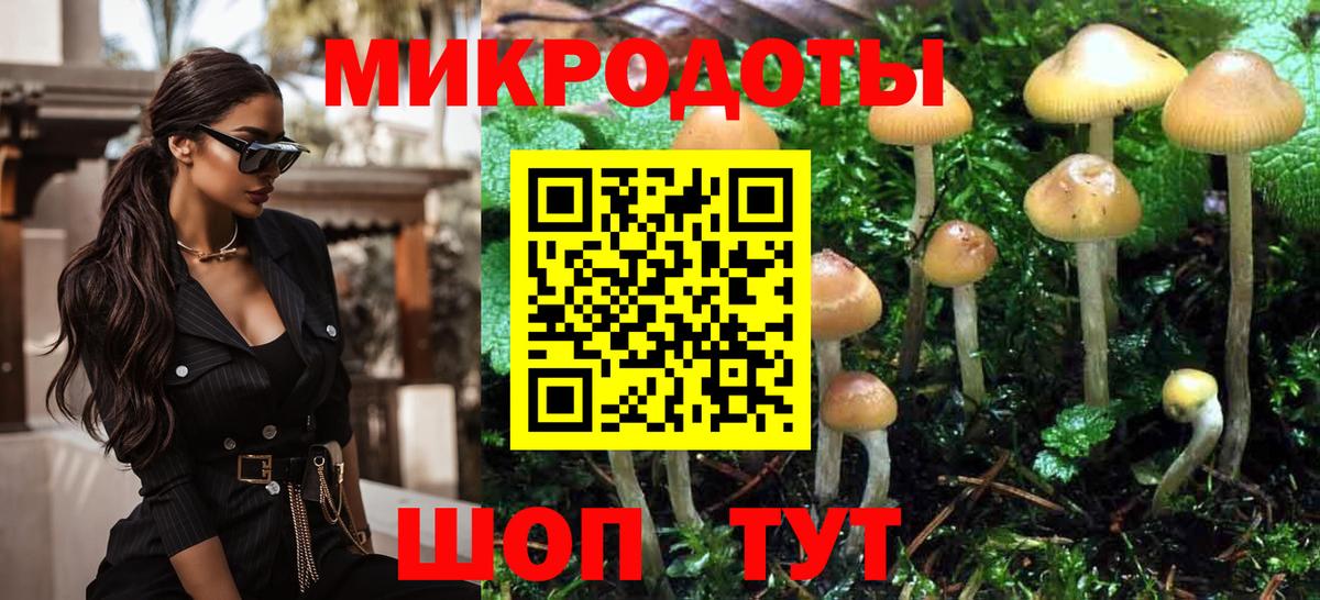 Галлюциногенные грибы MAGIC MUSHROOMS Балтийск