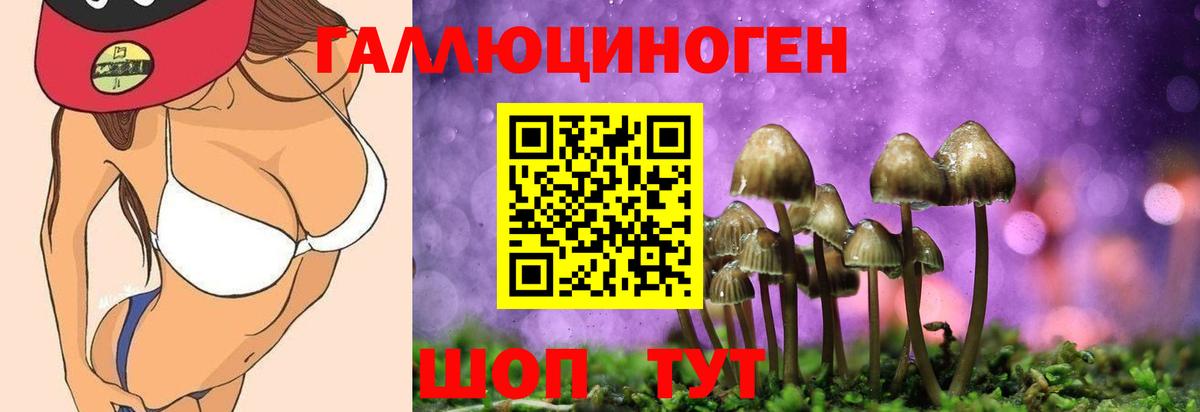 Балтийск  Галлюциногенные грибы Cubensis  наркошоп  Вход с VPN 